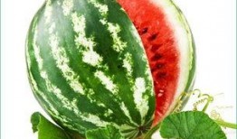 吃瓜黑料 吃瓜长清大学体育生,吃瓜黑料背后的真相与风采