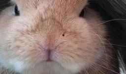 最近热门事件合集吃瓜兔 吃瓜真实爆料,热门事件合集真实爆料大起底