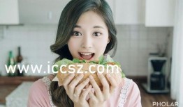 黑料网曝热门事件视频在线看,视频在线观看揭秘真相