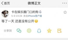 体育圈八卦 吃瓜网91爆料,吃瓜网91爆料，揭秘明星运动员不为人知的八卦风云